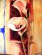 Calla - Marion Vossberg-Fiesser - Acryl auf Leinwand - Blumen - Realismus Calla - Marion Vossberg-Fiesser - Acryl auf Leinwand - Blumen - Realismus