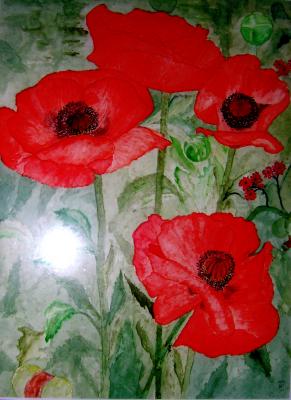 Mohnblumen - Josef Wimmer - Array auf Array - Array - Array Mohnblumen - Josef Wimmer - Array auf Array - Array - Array