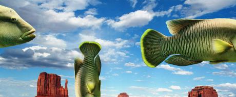 FREAKY FREE DAY - Neon MOORE - auf - Array - FREAKY FREE DAY - Neon MOORE - auf - Array -