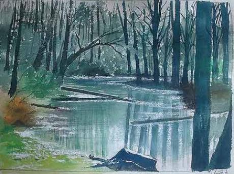 Der Wald meine PAssion - Moor Alfi - Array auf Array - Array - Array Der Wald meine PAssion - Moor Alfi - Array auf Array - Array - Array