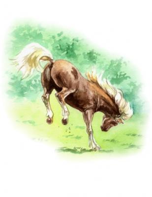 Wildfang - Daniela Pohl - Array auf Array - Array - Array Wildfang - Daniela Pohl - Array auf Array - Array - Array