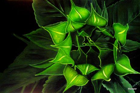 ---Grünes Wunder - Maria Abt - Array auf Array - Array - Array ---Grünes Wunder - Maria Abt - Array auf Array - Array - Array