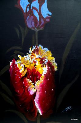 ---Tulpen in der Nacht - Maria Abt - Array auf Array - Array - Array ---Tulpen in der Nacht - Maria Abt - Array auf Array - Array - Array