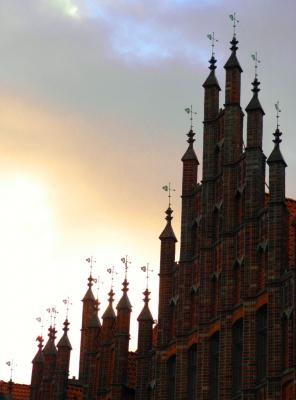 Altes Rathaus in Hannover - Wolfgang Bergter - Array auf Array - Array - 