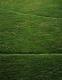 wiese III wiese III