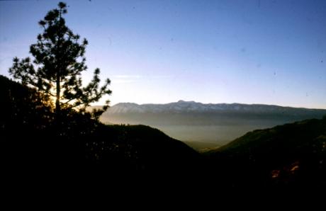 Taho national forest - Xmas - auf - Array - Taho national forest - Xmas - auf - Array -