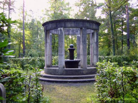 Verwunschener Brunnen im Park - Petra PStarosky - auf - Array - Verwunschener Brunnen im Park - Petra PStarosky - auf - Array -