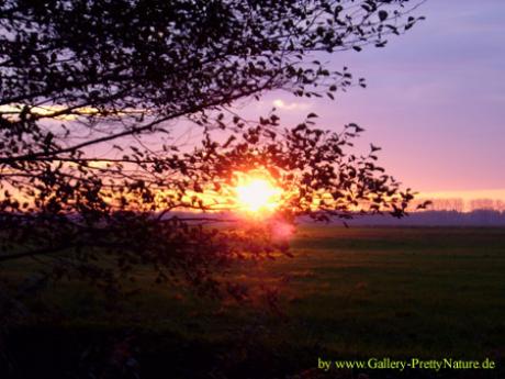 Sonnenuntergang - Petra PStarosky - auf - Array - Sonnenuntergang - Petra PStarosky - auf - Array -