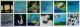 Collage 1 -  Joachim Meise - Acryl auf Leinwand - Sonstiges - 
