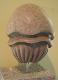 Jelly Fish -  Thomas Berger -  auf  - Sonstiges - 