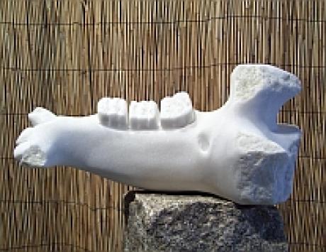 Jaw of Centaurus primigenius - Thomas Berger - auf - Array - Jaw of Centaurus primigenius - Thomas Berger - auf - Array -