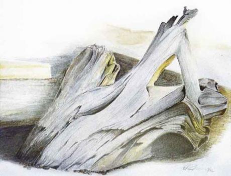Treibholz, Aquarell über Bleistift - Peter - Array auf Array - Array - Treibholz, Aquarell über Bleistift - Peter - Array auf Array - Array -