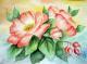 Wilde Rose Wilde Rose