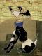 Friendly Dog von Jacqueline Ditt - Galerie Studio    universal arts - Drucke auf  - Sonstiges - 
