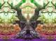 Old Oak -  Pan -  auf  - Sonstiges - 