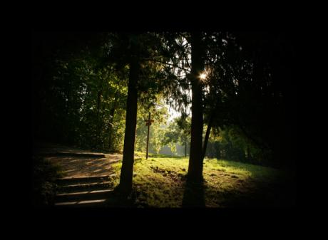 welchen Weg? - R.Lechner - auf - Array - welchen Weg? - R.Lechner - auf - Array -