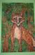 Red fox Red fox