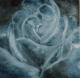 Blaue Rose Blaue Rose