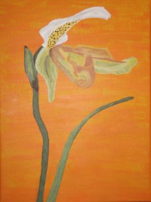 Orchidee - Sonja Wagner - auf - Array - Orchidee - Sonja Wagner - auf - Array -