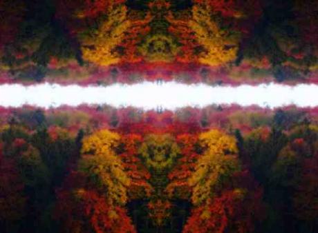 OdinAndHisDogs - surRAelatic ART - auf - Array - OdinAndHisDogs - surRAelatic ART - auf - Array -