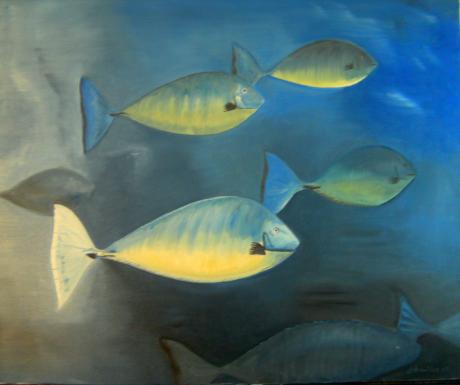 Fische - Anuska Trajkovic - Array auf Array - Array - Array Fische - Anuska Trajkovic - Array auf Array - Array - Array