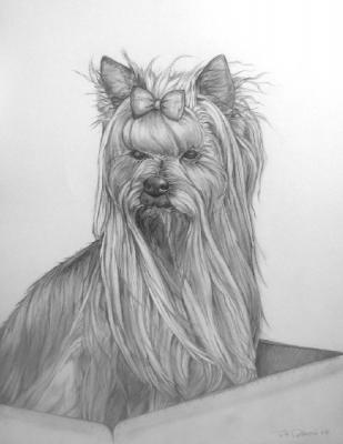 Verwöhnung - Gábriel Tóth - Array auf - Array - Verwöhnung - Gábriel Tóth - Array auf - Array -