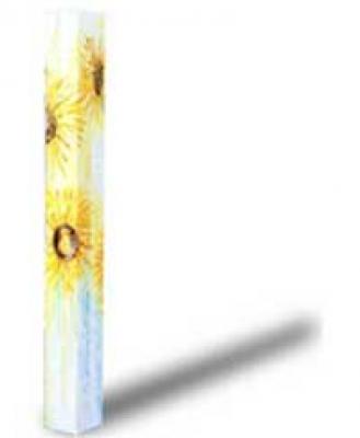 Beam Helianthus - Picchio Dieter Specht - Array auf - - Beam Helianthus - Picchio Dieter Specht - Array auf - -