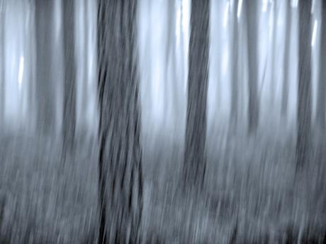 November Fog - Walter J. Pilsak - Array auf - Array - November Fog - Walter J. Pilsak - Array auf - Array -