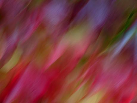 Weinblut-2 - Walter J. Pilsak - auf - Array - Weinblut-2 - Walter J. Pilsak - auf - Array -