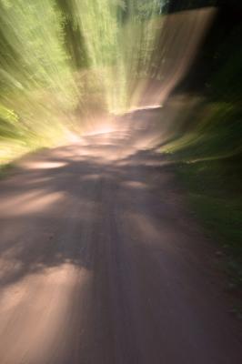 Natursinfonie - Walter J. Pilsak - auf - Array - Natursinfonie - Walter J. Pilsak - auf - Array -