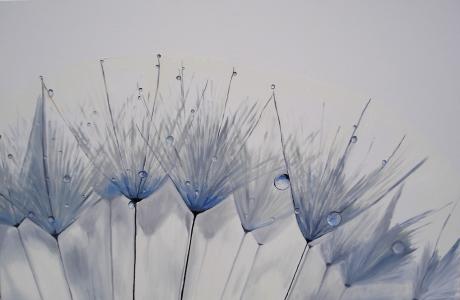 Pusteblume - Irmela Hauffe - Array auf Array - Array - Array