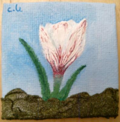 -ein kleines kunstwerk-krokus weiß - c. lemke - auf - Array - -ein kleines kunstwerk-krokus weiß - c. lemke - auf - Array -