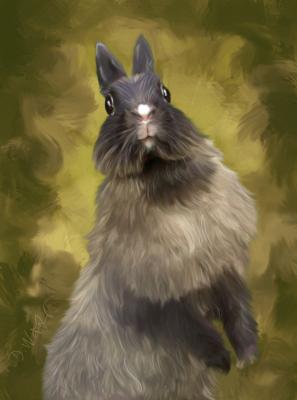 Luna - Doreen Näther - Array auf - Array - Luna - Doreen Näther - Array auf - Array -