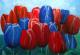 Tulpenveld - Geert Winkel - Acryl auf Leinwand - - Realismus Tulpenveld - Geert Winkel - Acryl auf Leinwand - - Realismus