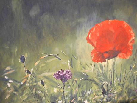 Sommerwiese - ---- heike - Array auf Array - Array - Array Sommerwiese - ---- heike - Array auf Array - Array - Array