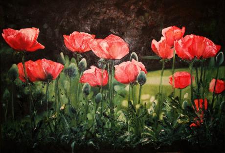 Mohnblumenwiese! - Sabine Mentzel - Array auf Array - Array - Array Mohnblumenwiese! - Sabine Mentzel - Array auf Array - Array - Array