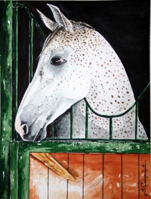 Schimmel - Sadettin Canpolat - Array auf - Array - Array Schimmel - Sadettin Canpolat - Array auf - Array - Array