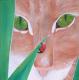 Beobachter - Karina Birke - Acryl auf Leinwand - Katzen - 