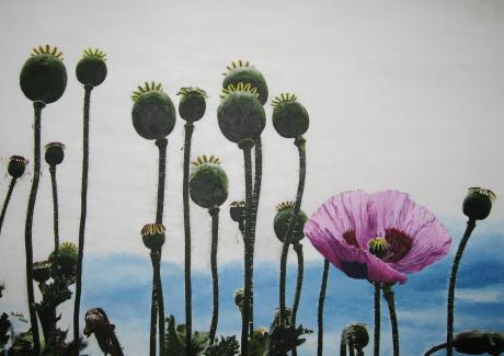 Mohn-Planeten - dunjate Kunst in Acryl - Array auf Array - Array - Array