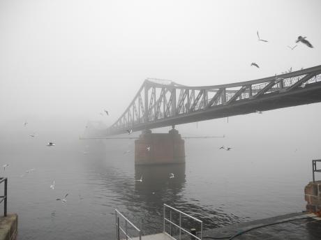 November - Mark Hallstein - Array auf - Array - November - Mark Hallstein - Array auf - Array -