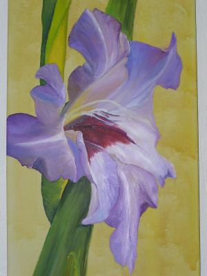 Gladiole - Anke Knoth - Array auf Array - Array - Array Gladiole - Anke Knoth - Array auf Array - Array - Array