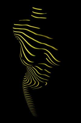 lines - Oliver Plath -  auf  - Array - 