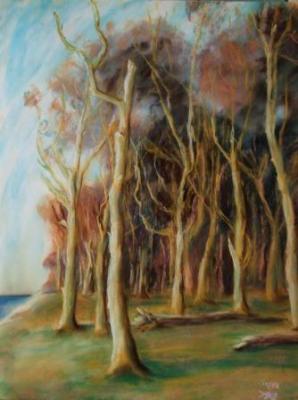 Geisterwald - Birgit Müller - Array auf Array - Array - Geisterwald - Birgit Müller - Array auf Array - Array -