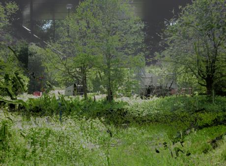 Naturewho - Immo Jalass - auf - Array - Naturewho - Immo Jalass - auf - Array -