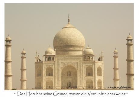 Neues Kunstwerk - Katja Augenblick - auf - - Neues Kunstwerk - Katja Augenblick - auf - -