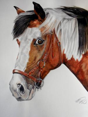 Kitano - Ursula Thuleweit Laranjeiro - Array auf Array - Array - Array Kitano - Ursula Thuleweit Laranjeiro - Array auf Array - Array - Array