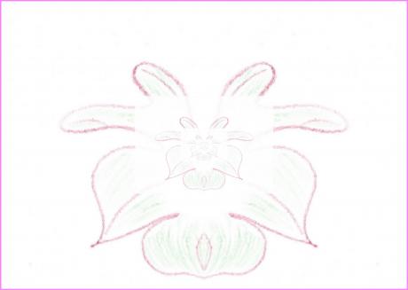 Blumenspiegelkabinett - Susann Mueller - Array auf - Array - Blumenspiegelkabinett - Susann Mueller - Array auf - Array -