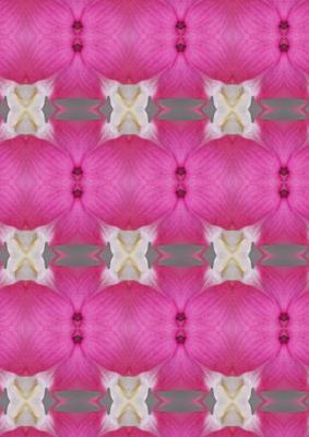 Kokon - Susann Mueller - Array auf - Array - Kokon - Susann Mueller - Array auf - Array -