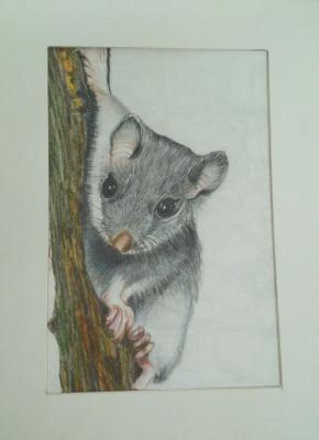 Siebenschlaefer - Marie-Louise van de Wiel - Array auf - Array - Siebenschlaefer - Marie-Louise van de Wiel - Array auf - Array -