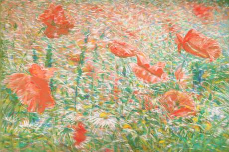 Mohnfeld - Ralph Kuhl - Array auf Array - Array - Array Mohnfeld - Ralph Kuhl - Array auf Array - Array - Array